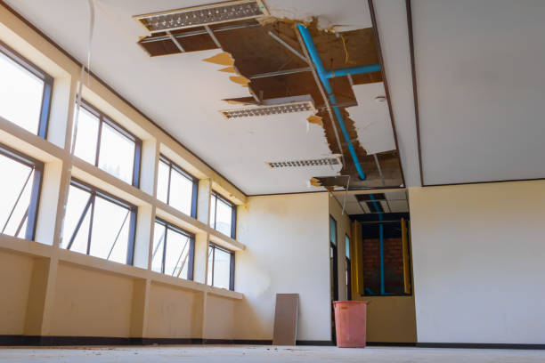 Best Water damage cleanup near me  in Mora, MN