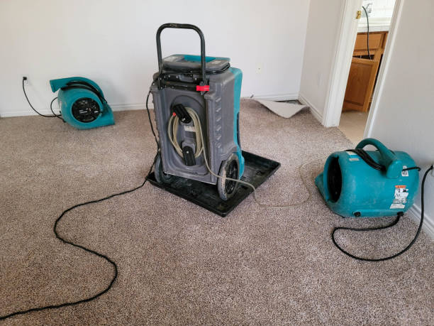 Reliable Mora, MN Water damage restoration Solutions