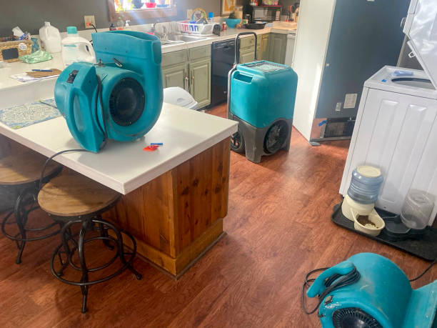 Best Professional water damage repair  in Mora, MN