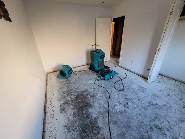  Mora, MN Water damage restoration Pros